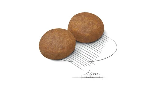 Royal Canin Tourteau Maxi Adult +5 5 Royal Canin Tourteau Maxi Adult +5 – Image 3