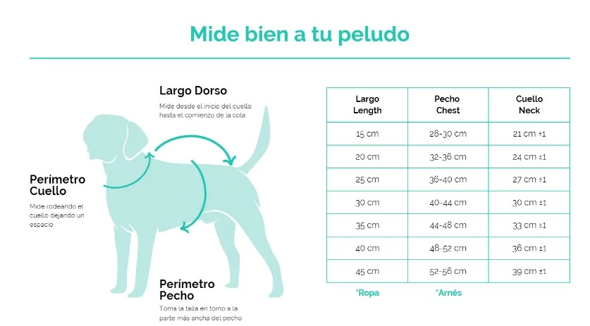 Freedog Arnés Boreal Lila 25mm Cuello 43-65cm Pecho 45-90cm 5 Freedog Arnés Boreal Lila 25mm Cuello 43-65cm Pecho 45-90cm – Image 3