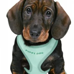 Trixie Harnais Rembourré Avec Des Chiots Verts à La Menthe -Trixie Soldes Magasin menta 644ef4a852e3c