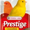 VERSELE-LAGA Versele Laga Mélange De Graines Pour Canaris Prestige -Trixie Soldes Magasin mezcla de semillas para canarios prestige 1 scaled