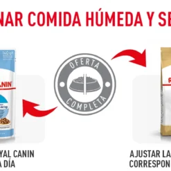 Royal Canin Labrador Retriever Puppy Aliment Pour Chiots -Trixie Soldes Magasin mixfeeding royal canin puppy 6436bece0c91a