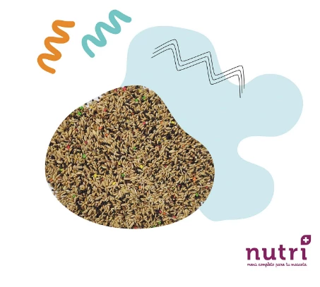 Nutriplus Nutri+ Aves Mixtura Canario Y Jilguero 4 Nutriplus Nutri+ Aves Mixtura Canario Y Jilguero – Image 2