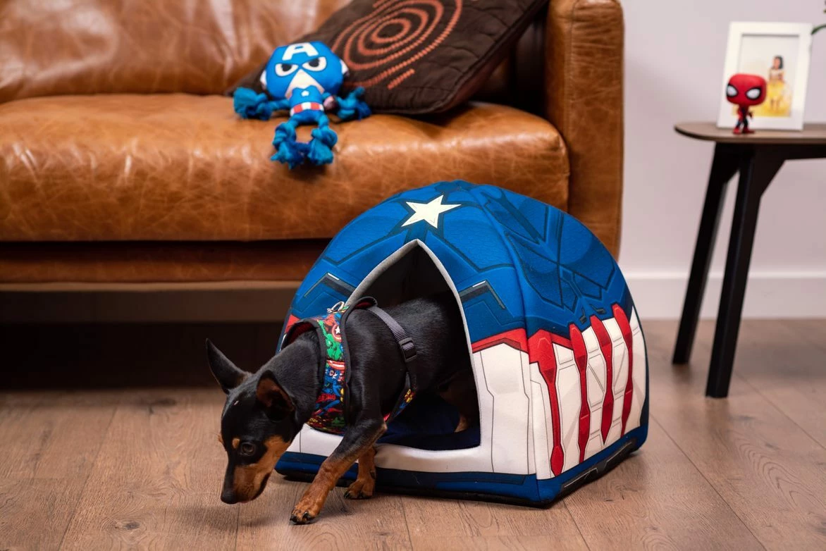For Fan Pets Plongeur Pour Chien Captain America Avengers 9 For Fan Pets Plongeur Pour Chien Captain America Avengers – Image 7
