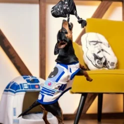 For Fan Pets Plongeur Pour Chien Star Wars 11 For Fan Pets Plongeur Pour Chien Star Wars -Trixie Soldes Magasin mordedor para perro star wars 7