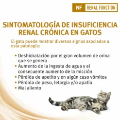 Pro Plan Veterinary Diets NF Renal Function ST/OX 32 Pro Plan Veterinary Diets NF Renal Function ST/OX -Trixie Soldes Magasin nf renal function st ox 5 scaled
