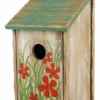 Trixie Nichoir 1 Trixie Nichoir -Trixie Soldes Magasin nido para pajaros caja de madera 1