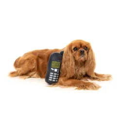 FuzzYard Nokidog Jouet En Peluche Pour Chiens -Trixie Soldes Magasin nokia para perro peluche 63ee4e8f55041