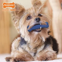 Nylabone Dental Plaque Attacker -Trixie Soldes Magasin nylabone chews bone 641c685ae5406
