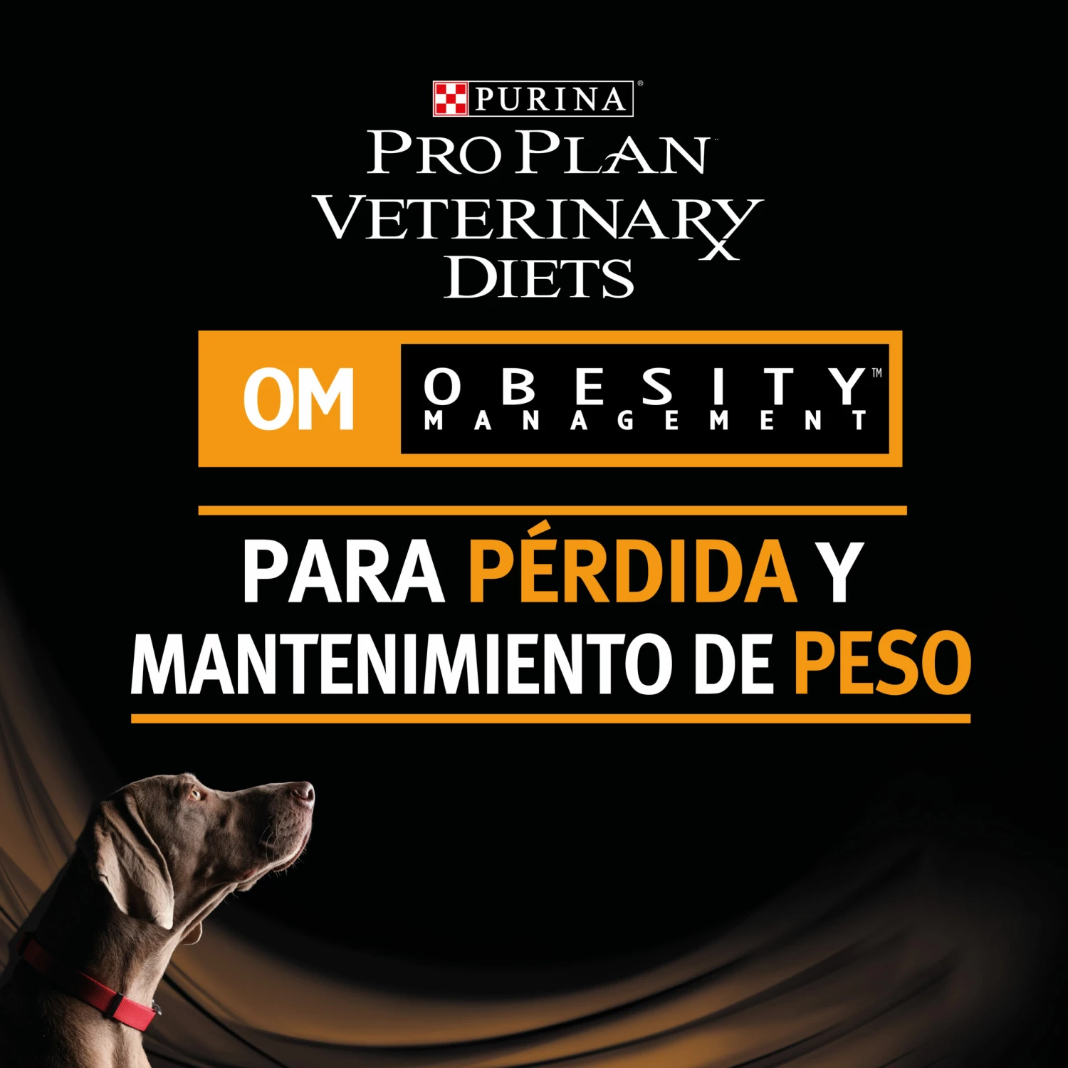 Pro Plan Veterinary Diets OM Obesity Management 10 Pro Plan Veterinary Diets OM Obesity Management – Image 8