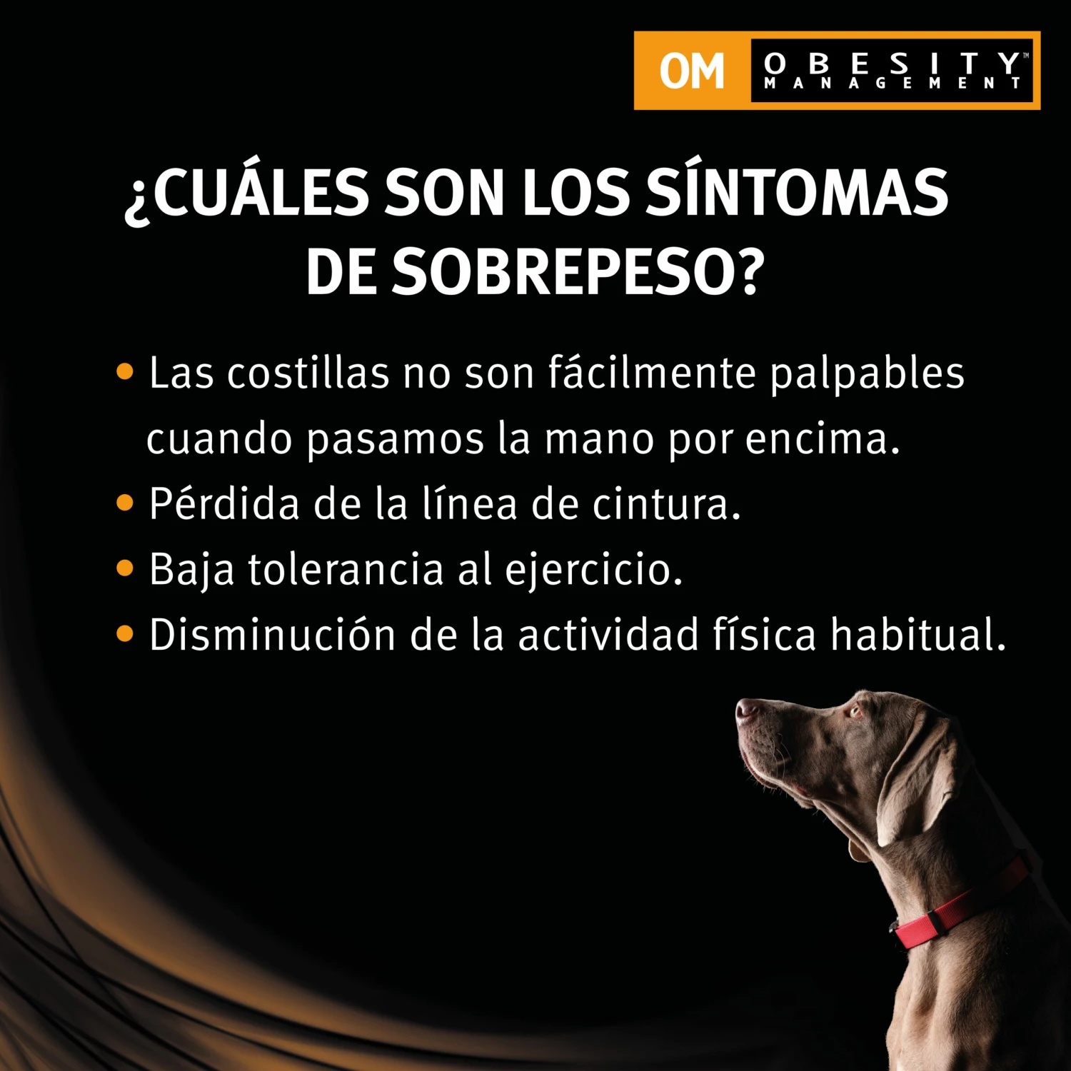 Pro Plan Veterinary Diets OM Obesity Management 12 Pro Plan Veterinary Diets OM Obesity Management – Image 10