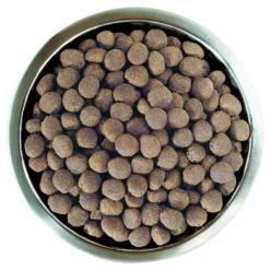 Pro Plan Optibalance Large Robust Adult Au Poulet -Trixie Soldes Magasin optibalance adult de pollo large robust 3