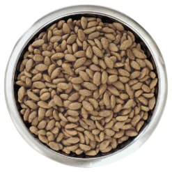 Pro Plan Optiderma Adulte Saumon Large Robust -Trixie Soldes Magasin optiderma adult salmon large robust 3