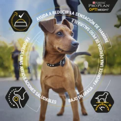 Pro Plan Optiweight All Size Adult Light & Sterilised Au Poulet -Trixie Soldes Magasin optiweight adult de pollo 2