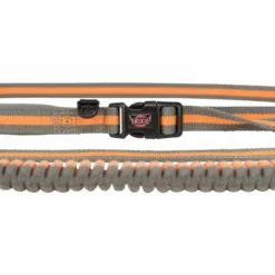 Trixie Laisse Spéciale Pour Chien Pour La Course à Pied Gris/Vert -Trixie Soldes Magasin originals PHO PRO DET CLIP PHO PRO DET CLIP 12763 3 SALL AWK V1 63106efce7cb9