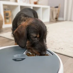 Trixie Alimentateur Intelligent TX4+1 Pour Chiens Et Chats -Trixie Soldes Magasin originals PHO PRO DOG PHO PRO DOG 24384 3 SALL AWK V1 63b3f3e47f297