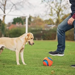 Chuckit! Chuckit Grand Ballon De Football Kick Fetch Pour Chiens 9 Chuckit! Chuckit Grand Ballon De Football Kick Fetch Pour Chiens -Trixie Soldes Magasin pelota chuckit grande 63e36e34a5075
