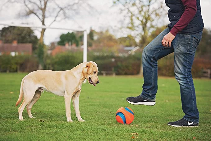 Chuckit! Chuckit Grand Ballon De Football Kick Fetch Pour Chiens 6 Chuckit! Chuckit Grand Ballon De Football Kick Fetch Pour Chiens – Image 4