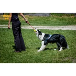 Julius K9 Balle Idc Fluorescent Jaune -Trixie Soldes Magasin pelota idc lumino asa cerrable 3 63a02a1b8bb2e