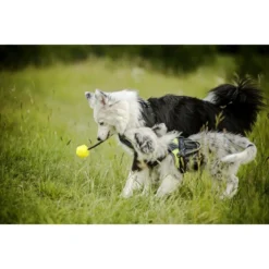 Julius K9 Balle Idc Fluorescent Jaune -Trixie Soldes Magasin pelota idc lumino asa cerrable 4 63a02a1cc067e