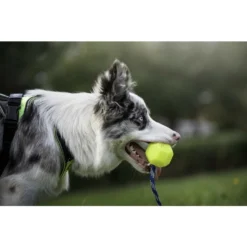 Julius K9 Balle Idc Fluorescent Jaune -Trixie Soldes Magasin pelota idc lumino asa cerrable 5 63a02a1dc2e62