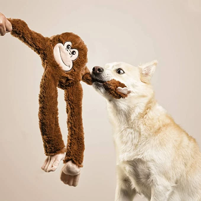 Gloria Pets Mini Iwa De Peluche Para Perros 5 Gloria Pets Mini Iwa De Peluche Para Perros – Image 3