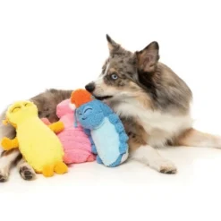 FuzzYard Peluche Bed Bugs Rolly Bleue Pour Chiens 5 FuzzYard Peluche Bed Bugs Rolly Bleue Pour Chiens -Trixie Soldes Magasin peluches para perros de fuzzyard 6437cdd2f182d