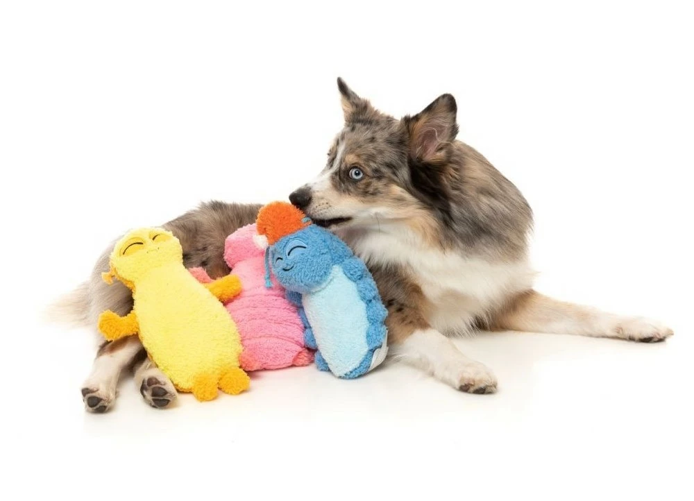 FuzzYard Peluche Bed Bugs Rolly Bleue Pour Chiens 4 FuzzYard Peluche Bed Bugs Rolly Bleue Pour Chiens – Image 2