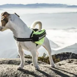 Julius K9 Sacs De Harnais Universels IDC -Trixie Soldes Magasin perro con bolsas julius arnes 6474c34db7491