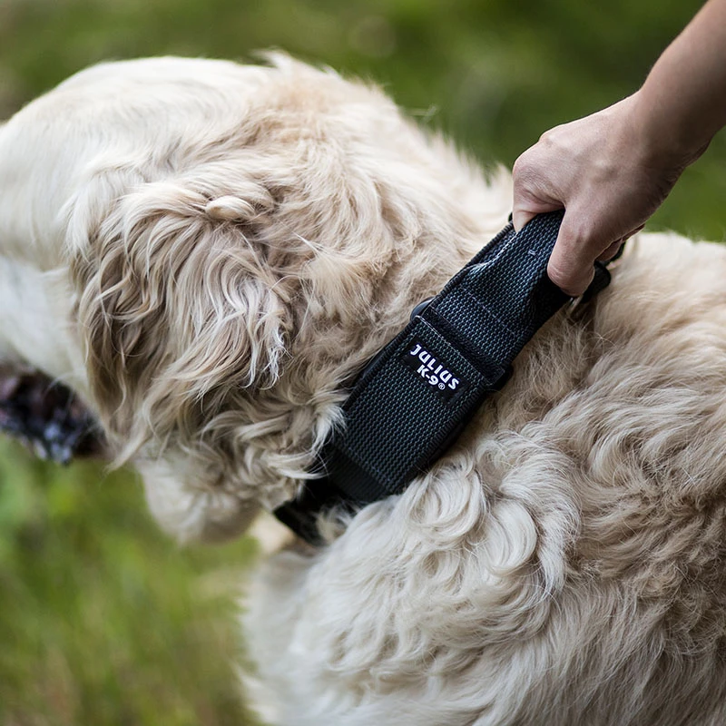 Julius K9 Collier De Couleur Et De Gris Avec Poignée Noire 4 Julius K9 Collier De Couleur Et De Gris Avec Poignée Noire – Image 2