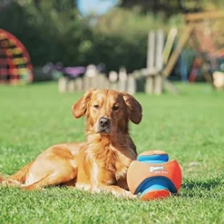 Chuckit! Chuckit Grand Ballon De Football Kick Fetch Pour Chiens 7 Chuckit! Chuckit Grand Ballon De Football Kick Fetch Pour Chiens -Trixie Soldes Magasin perro con pelota kick fetch 63e36d89437ec