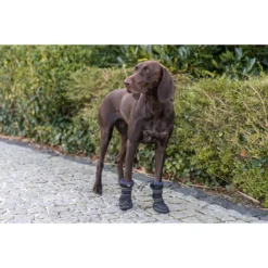 Trixie Bottes De Protection Haute -Trixie Soldes Magasin perro con zapatos de trixie 646cd0b12fe97