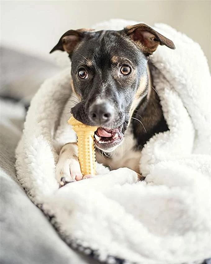 Nylabone Extreme Chew Barbell L 4 Nylabone Extreme Chew Barbell L – Image 2