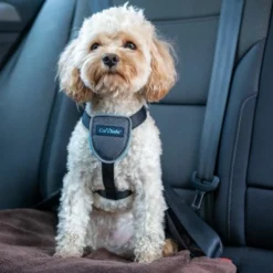 The Company Of Animals Harcèlement Pour Chiens Testé Contre L'Accident -Trixie Soldes Magasin perro pequeno con arnes coche 637dfd74ed835