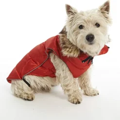 Kruuse Manteau Pour Chien Buster Active Rouge -Trixie Soldes Magasin perro westie con chaqueta roja 634537683aabd