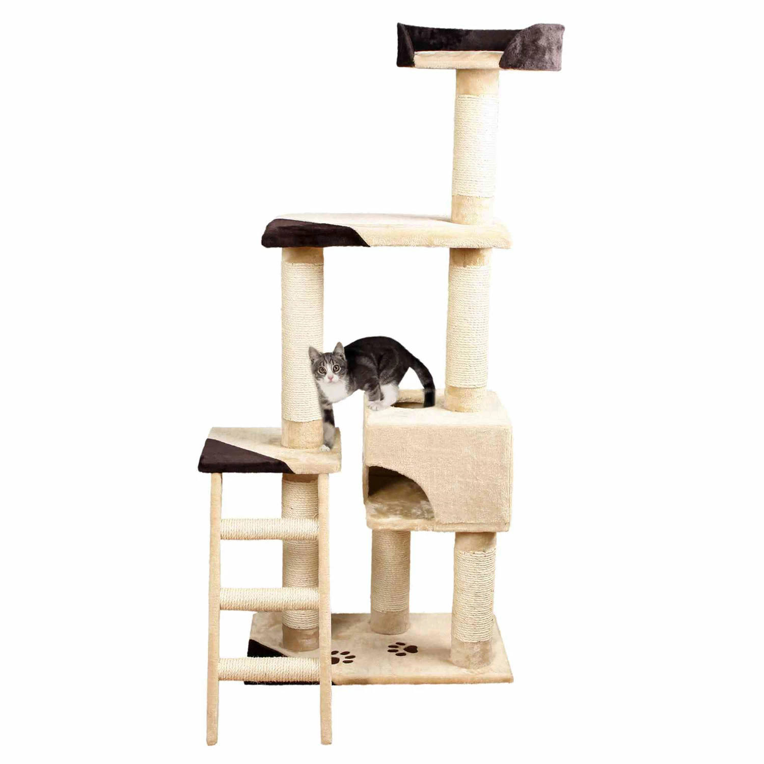 Trixie Gratte-papier Montoro 5 Trixie Gratte-papier Montoro – Image 3