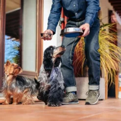 HPM Veterinary Adult Small & Toy 7 HPM Veterinary Adult Small & Toy -Trixie Soldes Magasin piensoAdultMini 6230597c53a57