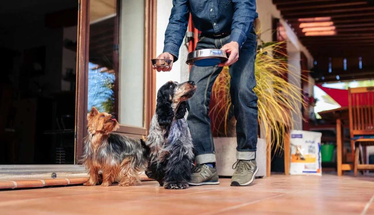 HPM Veterinary Adult Small & Toy 5 HPM Veterinary Adult Small & Toy – Image 3