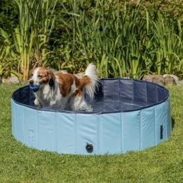 Trixie Piscine Pour Chiens 5 Trixie Piscine Pour Chiens – Image 3