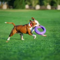 Collar Puller Jouet à Mâcher -Trixie Soldes Magasin puller 06 548x548 62fe111957cda