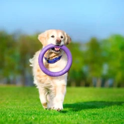 Collar Puller Jouet à Mâcher -Trixie Soldes Magasin puller standard3 62fe111e53cf9