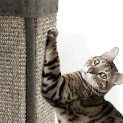 Arquivet Griffoir Pour Chat En Coin -Trixie Soldes Magasin rascador esquinero 641889c1b13f4