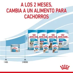 Lot 12 Royal Canin Starter Mousse -Trixie Soldes Magasin rc spt wet startermousse can cv 8 es es 624ad6e8e0713