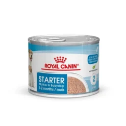 Lot 12 Royal Canin Starter Mousse