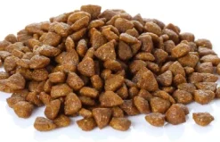 Banters Adult Chicken Grain Free -Trixie Soldes Magasin seccion 1 imagen 3 1 2 300x159 62cffa5e3b328