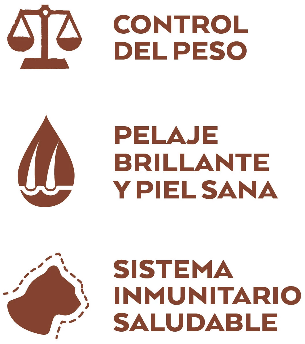 Nature's Variety Salmón Sans Grain Stérilisé Sélectionné 6 Nature's Variety Salmón Sans Grain Stérilisé Sélectionné – Image 4