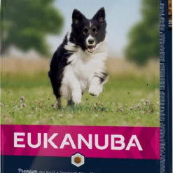 Eukanuba Senior Lamb & Rice Petites & Moyennes Races
