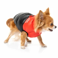 FuzzYard East Harlem - Veste Matelassée Rouge -Trixie Soldes Magasin sk76QWLg 630f19d5d775f