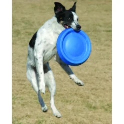 Starmark Easy Glider Multi -Trixie Soldes Magasin starmark disco easy glider multi 628df2551feb6