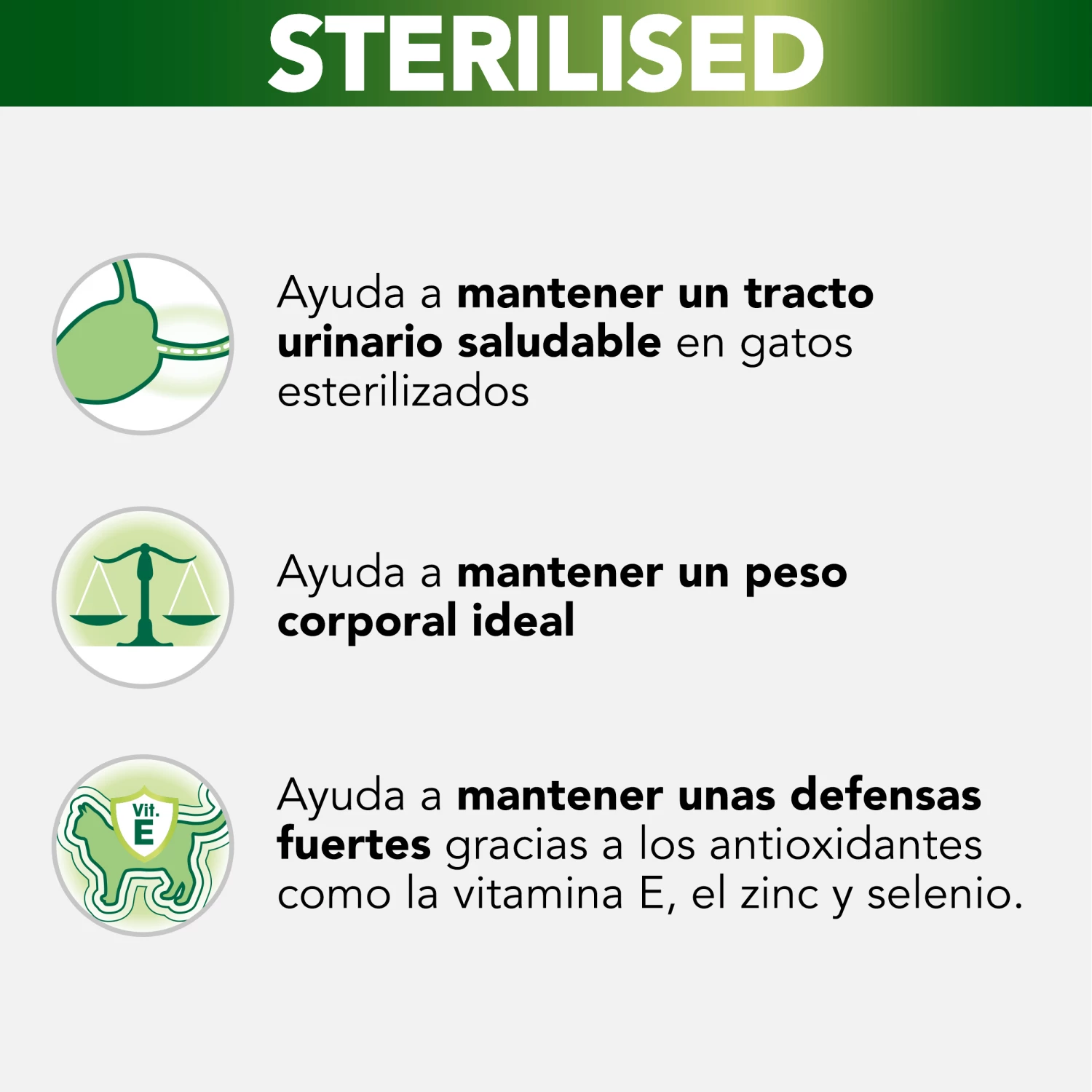 Pro Plan Sterilised Nutri Savour Sachet Morceaux De Boeuf En Sauce 5 Pro Plan Sterilised Nutri Savour Sachet Morceaux De Boeuf En Sauce – Image 3