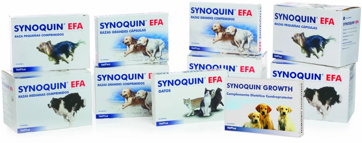 VetPlus Synoquin Joint Chondroprotector For Medium Dogs En Comprimés 5 VetPlus Synoquin Joint Chondroprotector For Medium Dogs En Comprimés – Image 3